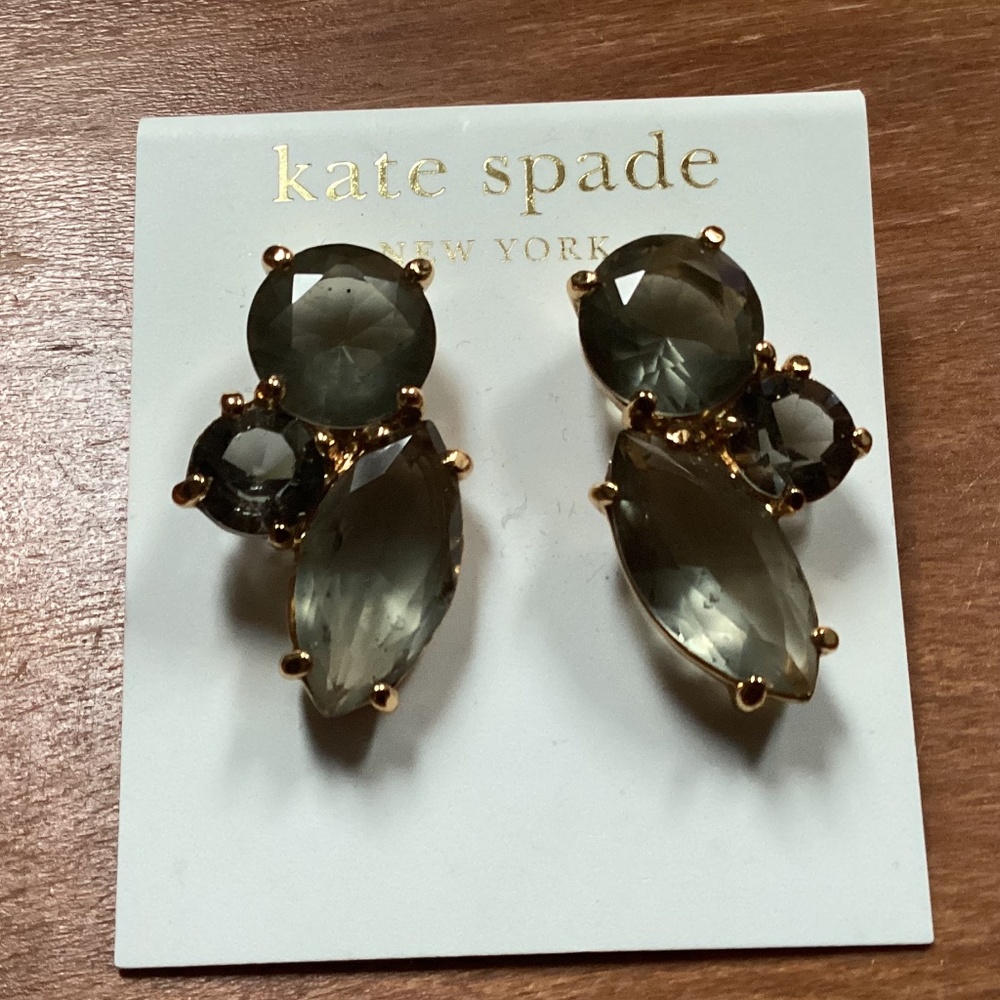 Kate Spade 14K Gold Filled Earrings WBRU3566